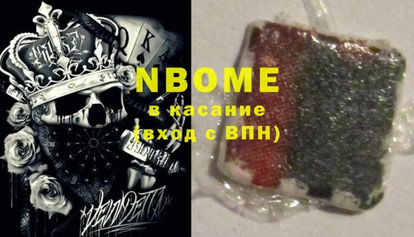 стафф Карпинск