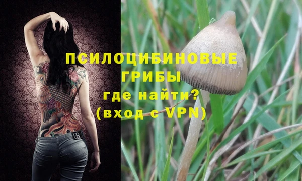 стафф Карпинск