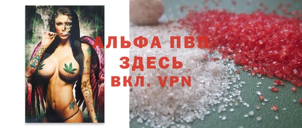 стафф Карпинск