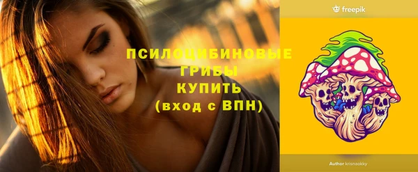стафф Карпинск